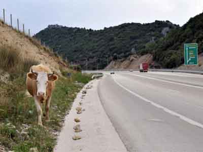 Η Εγνατία δεν είναι βοσκότοπος!